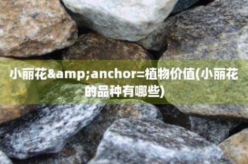 小丽花&anchor=植物价值(小丽花的品种有哪些)