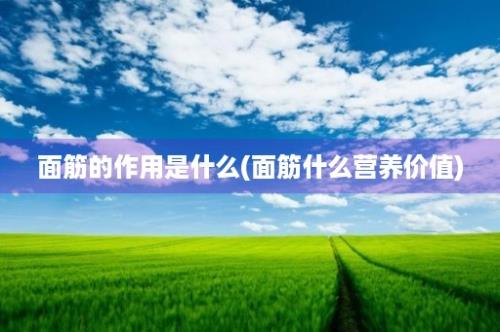 面筋的作用是什么(面筋什么营养价值)