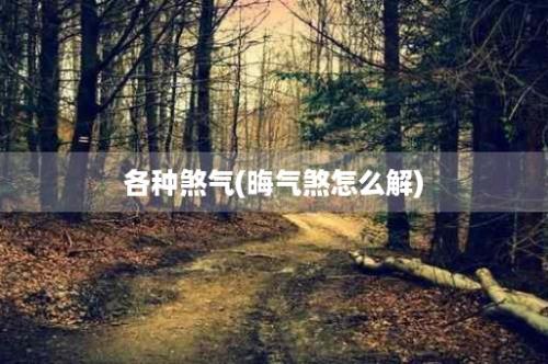 各种煞气(晦气煞怎么解)