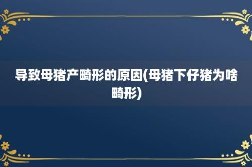 导致母猪产畸形的原因(母猪下仔猪为啥畸形)