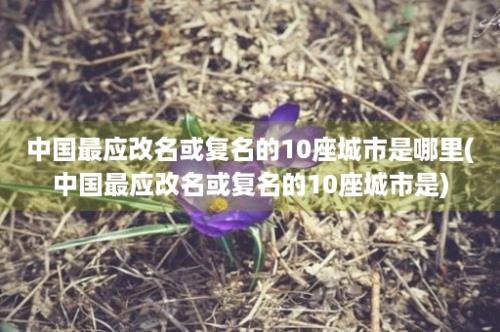 中国最应改名或复名的10座城市是哪里(中国最应改名或复名的10座城市是)