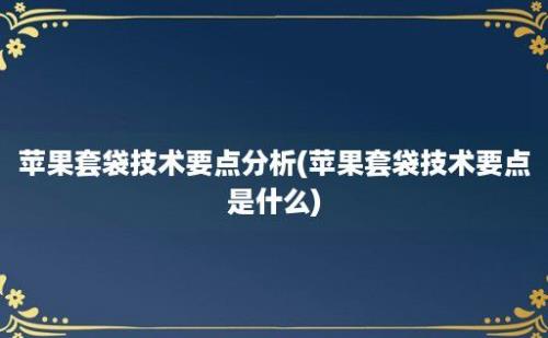 苹果套袋技术要点分析(苹果套袋技术要点是什么)