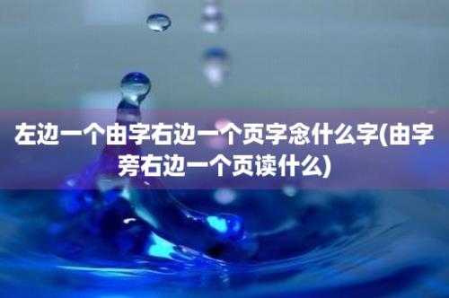 左边一个由字右边一个页字念什么字(由字旁右边一个页读什么)