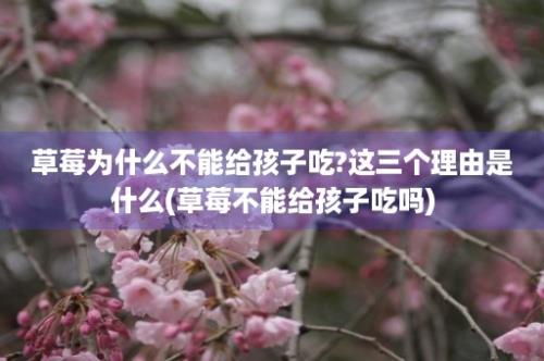 草莓为什么不能给孩子吃?这三个理由是什么(草莓不能给孩子吃吗)