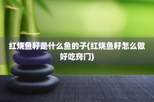 红烧鱼籽是什么鱼的子(红烧鱼籽怎么做好吃窍门)