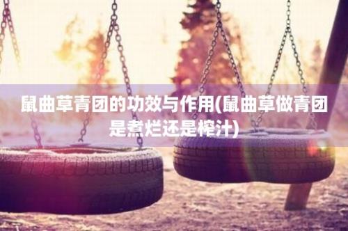 鼠曲草青团的功效与作用(鼠曲草做青团是煮烂还是榨汁)