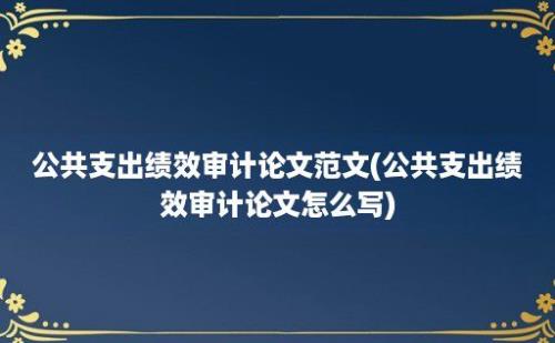 公共支出绩效审计论文范文(公共支出绩效审计论文怎么写)