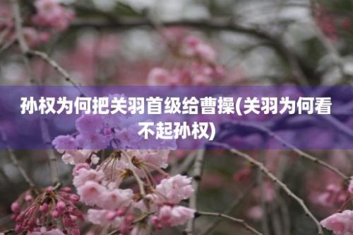 孙权为何把关羽首级给曹操(关羽为何看不起孙权)