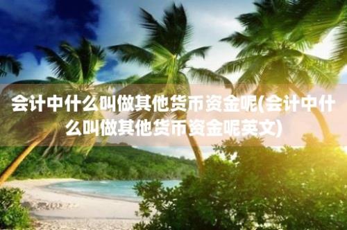 会计中什么叫做其他货币资金呢(会计中什么叫做其他货币资金呢英文)