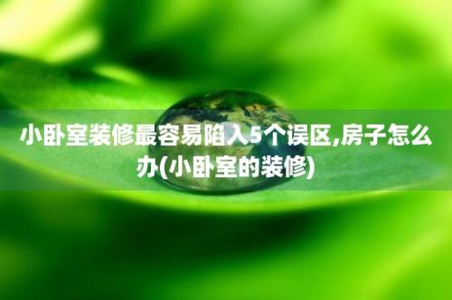 小卧室装修最容易陷入5个误区,房子怎么办(小卧室的装修)