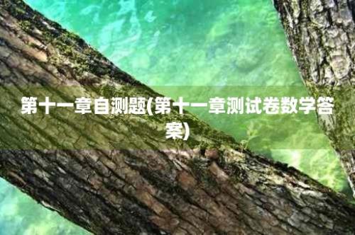 第十一章自测题(第十一章测试卷数学答案)