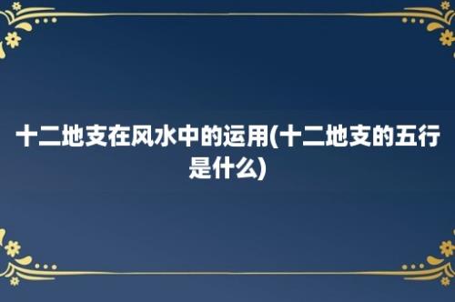 十二地支在风水中的运用(十二地支的五行是什么)