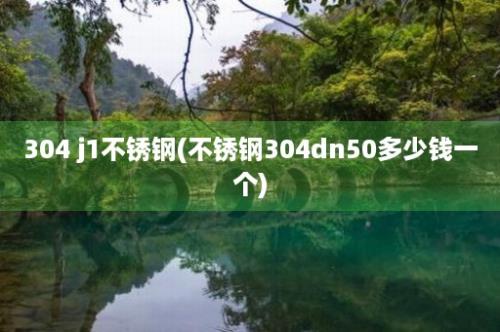 304 j1不锈钢(不锈钢304dn50多少钱一个)