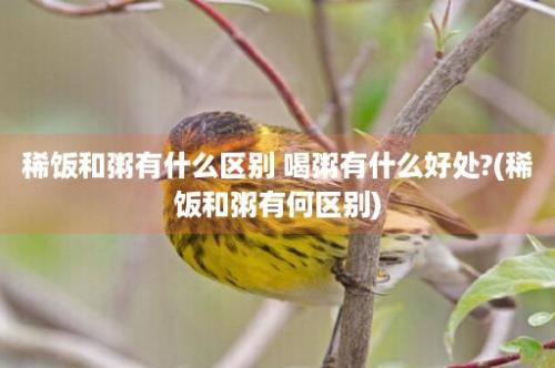 稀饭和粥有什么区别 喝粥有什么好处?(稀饭和粥有何区别)