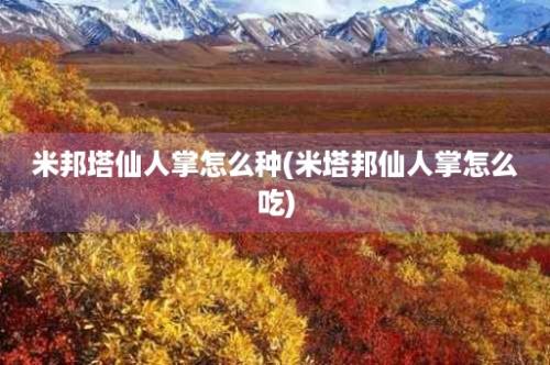 米邦塔仙人掌怎么种(米塔邦仙人掌怎么吃)