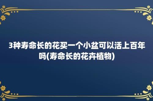 3种寿命长的花买一个小盆可以活上百年吗(寿命长的花卉植物)