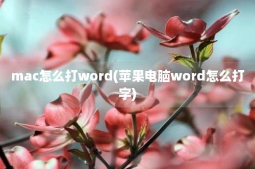 mac怎么打word(苹果电脑word怎么打字)