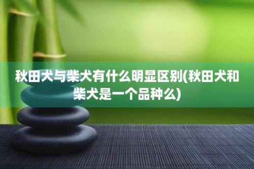 秋田犬与柴犬有什么明显区别(秋田犬和柴犬是一个品种么)