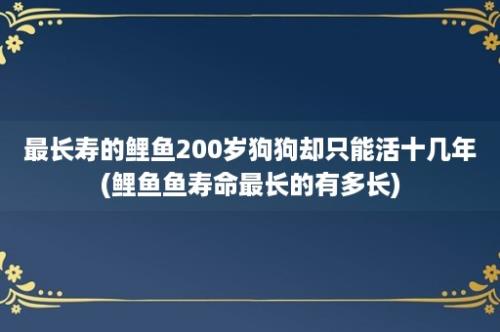 最长寿的鲤鱼200岁狗狗却只能活十几年(鲤鱼鱼寿命最长的有多长)