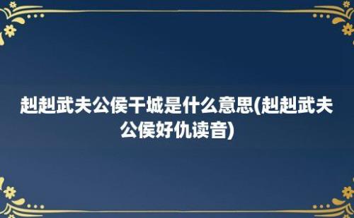 赳赳武夫公侯干城是什么意思(赳赳武夫公侯好仇读音)