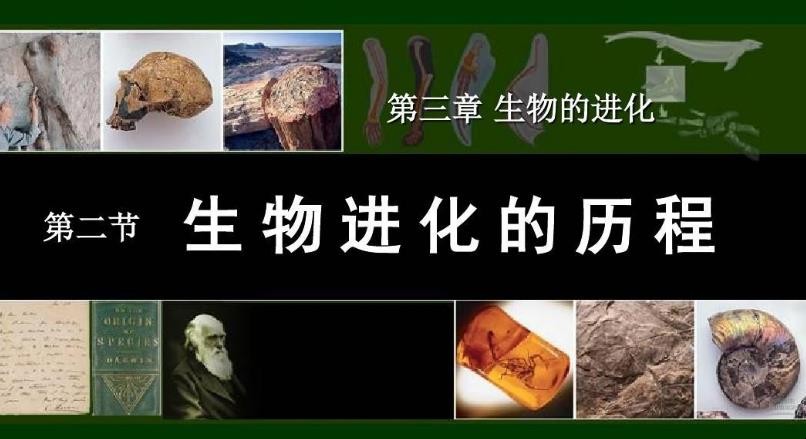 生物进化的历程是什么