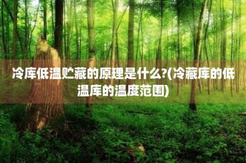 冷库低温贮藏的原理是什么?(冷藏库的低温库的温度范围)