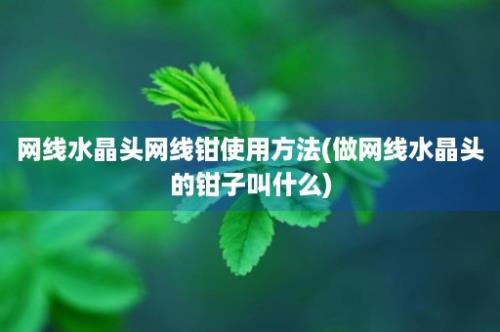 网线水晶头网线钳使用方法(做网线水晶头的钳子叫什么)