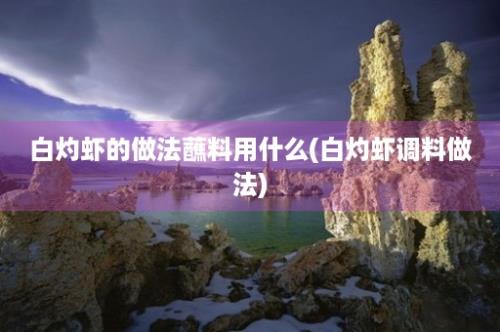 白灼虾的做法蘸料用什么(白灼虾调料做法)