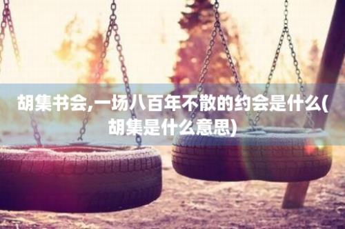 胡集书会,一场八百年不散的约会是什么(胡集是什么意思)