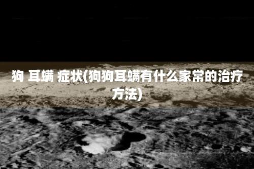 狗 耳螨 症状(狗狗耳螨有什么家常的治疗方法)