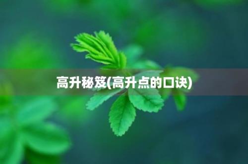 高升秘笈(高升点的口诀)