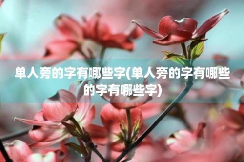 单人旁的字有哪些字(单人旁的字有哪些的字有哪些字)