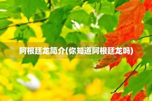 阿根廷龙简介(你知道阿根廷龙吗)