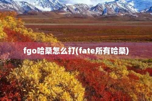 fgo哈桑怎么打(fate所有哈桑)