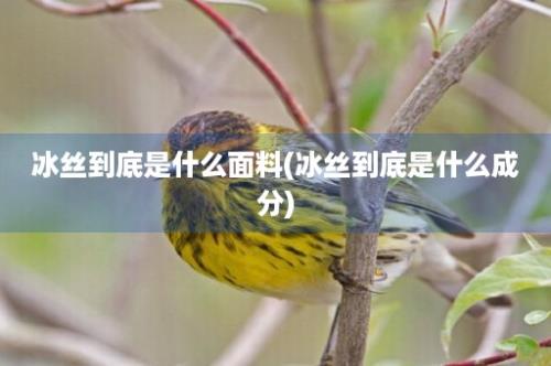 冰丝到底是什么面料(冰丝到底是什么成分)