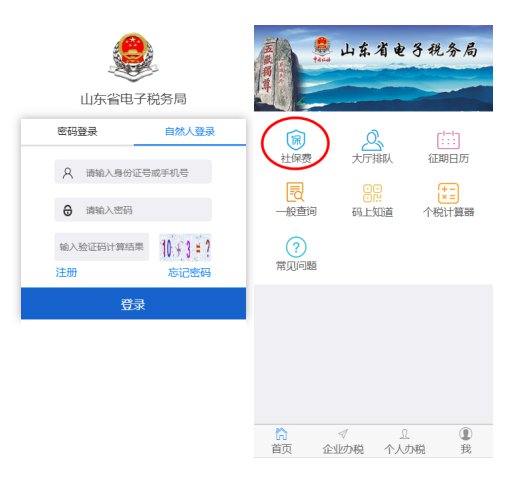 山东省税务社保怎么缴费