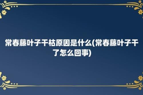 常春藤叶子干枯原因是什么(常春藤叶子干了怎么回事)