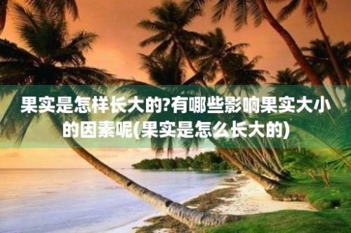 果实是怎样长大的?有哪些影响果实大小的因素呢(果实是怎么长大的)