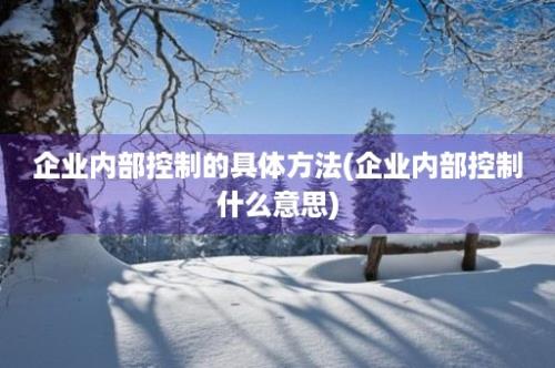 企业内部控制的具体方法(企业内部控制什么意思)