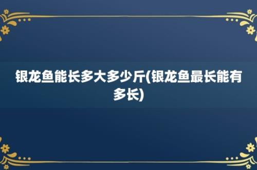 银龙鱼能长多大多少斤(银龙鱼最长能有多长)