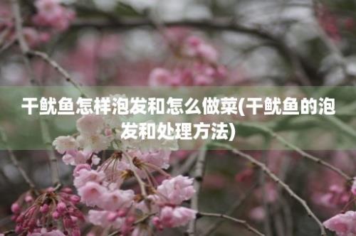 干鱿鱼怎样泡发和怎么做菜(干鱿鱼的泡发和处理方法)