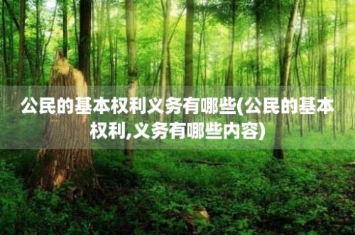 公民的基本权利义务有哪些(公民的基本权利,义务有哪些内容)