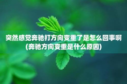 突然感觉奔驰打方向变重了是怎么回事啊(奔驰方向变重是什么原因)