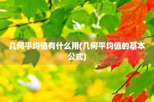 几何平均值有什么用(几何平均值的基本公式)