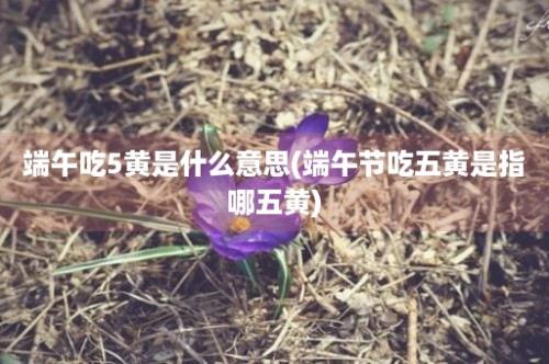 端午吃5黄是什么意思(端午节吃五黄是指哪五黄)