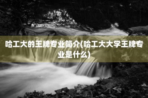 哈工大的王牌专业简介(哈工大大学王牌专业是什么)