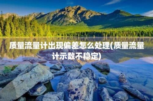 质量流量计出现偏差怎么处理(质量流量计示数不稳定)