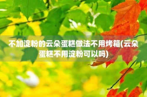 不加淀粉的云朵蛋糕做法不用烤箱(云朵蛋糕不用淀粉可以吗)