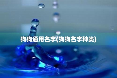 狗狗通用名字(狗狗名字种类)