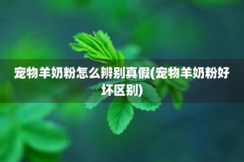 宠物羊奶粉怎么辨别真假(宠物羊奶粉好坏区别)